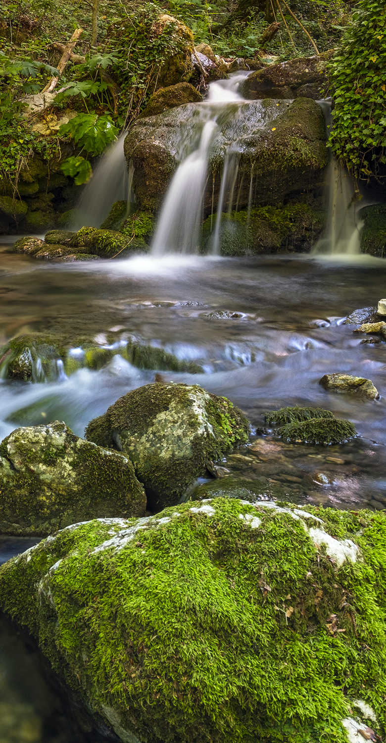 home-acqua